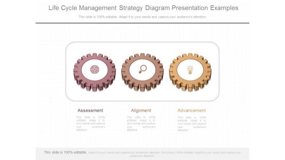 Life Cycle Management Strategy Diagram Presentation Examples