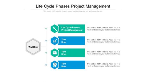 Life Cycle Phases Project Management Ppt PowerPoint Presentation Visual Aids Inspiration Cpb