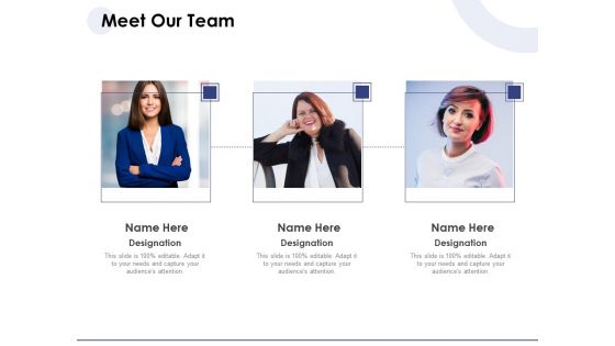 Macro And Micro Marketing Planning And Strategies Meet Our Team Ppt Layouts Demonstration PDF