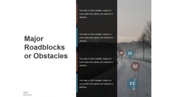 Major Roadblocks Or Obstacles Template 1 Ppt PowerPoint Presentation Professional Graphics Example