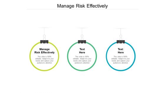 Manage Risk Effectively Ppt PowerPoint Presentation File Elements Cpb