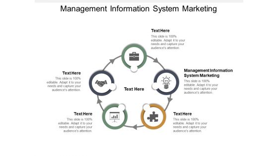 Management Information System Marketing Ppt PowerPoint Presentation Examples Cpb