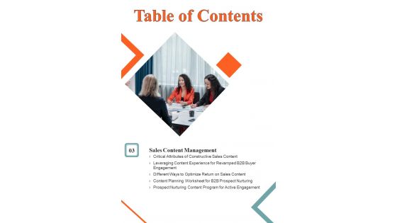 Management Playbook For Business To Business Buyers Pathway Template