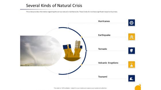 Management Program Presentation Several Kinds Of Natural Crisis Summary PDF