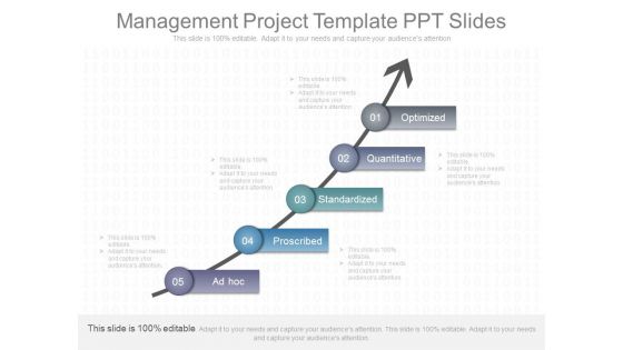 Management Project Template Ppt Slides Management Project Template Ppt Slides
