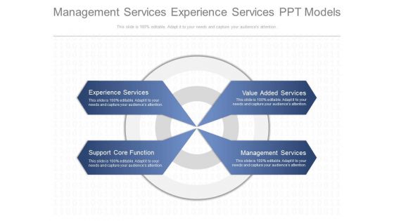 Management Services Experience Services Ppt Model