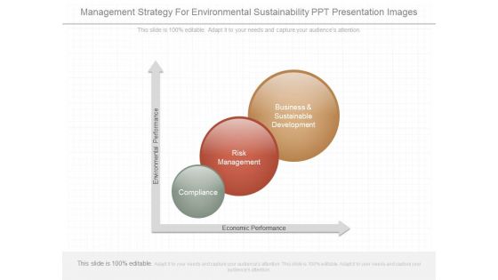 Management Strategy For Environmental Sustainability Ppt Presentation Images