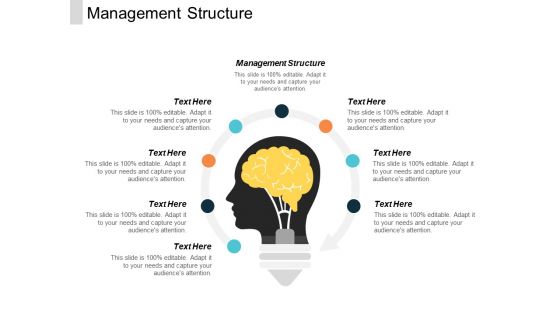 Management Structure Ppt PowerPoint Presentation File Show Cpb