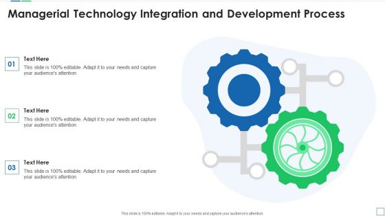 Managerial Technology Integration And Development Process Information PDF