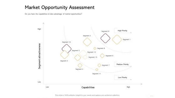 Managing Portfolio Growth Options Market Opportunity Assessment Ppt Outline Visual Aids PDF