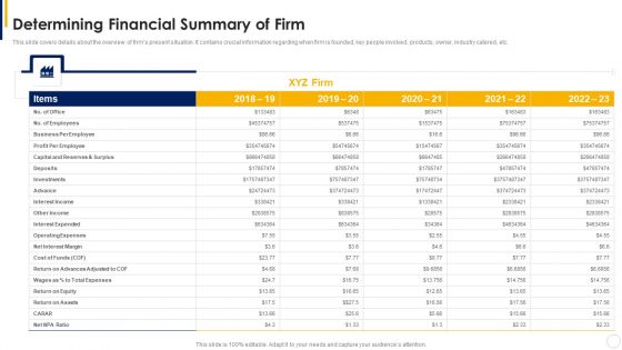 Manual To Develop Strawman Proposal Determining Financial Summary Of Firm Professional PDF
