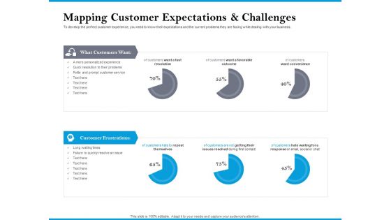 Mapping Customer Expectations And Challenges Summary PDF