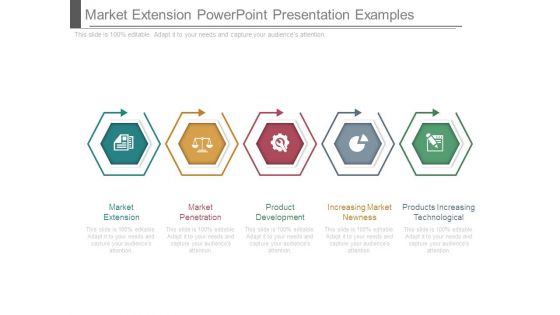 Market Extension Powerpoint Presentation Examples