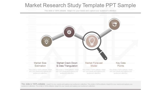 Market Research Study Template Ppt Sample