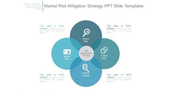 Market Risk Mitigation Strategy Ppt Slide Templates