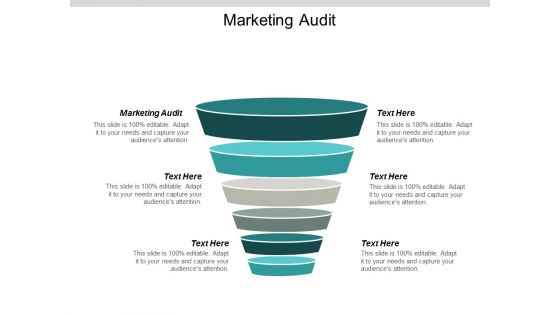 Marketing Audit Ppt PowerPoint Presentation Show Templates Cpb