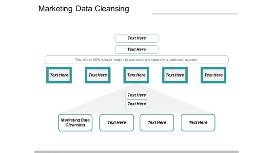 Marketing Data Cleansing Ppt PowerPoint Presentation Show Visual Aids Cpb