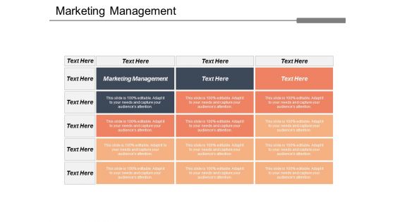 Marketing Management Ppt Powerpoint Presentation Portfolio Design Ideas Cpb
