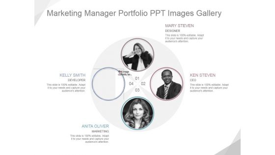 Marketing Manager Portfolio Ppt PowerPoint Presentation Visuals