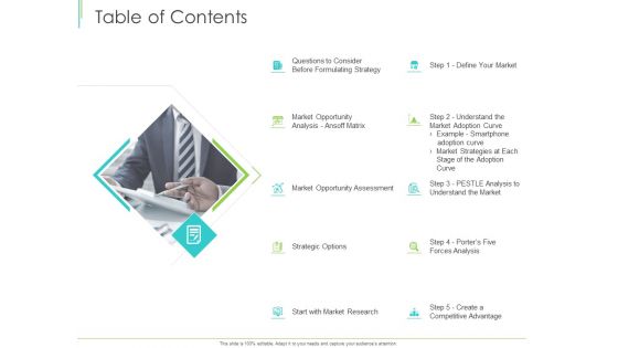 Marketing Plan Implementation Table Of Contents Ppt Inspiration Summary PDF