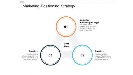 Marketing Positioning Strategy Ppt PowerPoint Presentation Inspiration Show Cpb