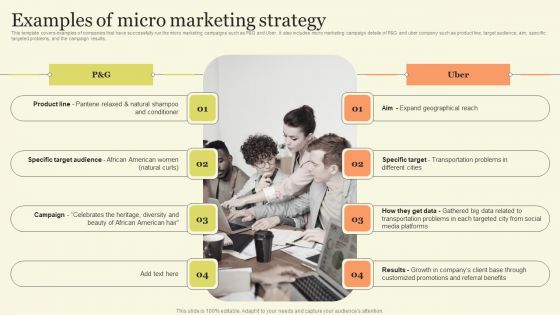 Marketing Techniques For Increasing Target Audience Examples Of Micro Marketing Strategy Designs PDF