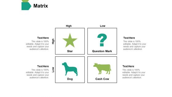 Matrix Ppt PowerPoint Presentation Visual Aids Infographics