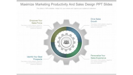 Maximize Marketing Productivity And Sales Design Ppt Slides