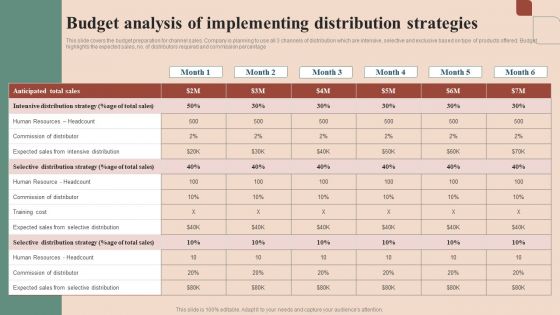 Maximizing Profit Returns With Right Distribution Source Budget Analysis Of Implementing Distribution Strategies Elements PDF