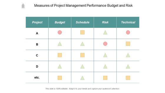 Measures Of Project Management Performance Budget And Risk Ppt PowerPoint Presentation Outline Graphics Design