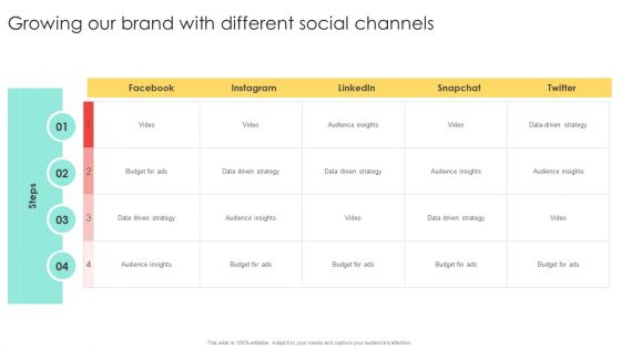 Media Advertising Growing Our Brand With Different Social Channels Sample PDF