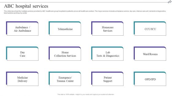 Medical Care Company Overview ABC Hospital Services Template PDF