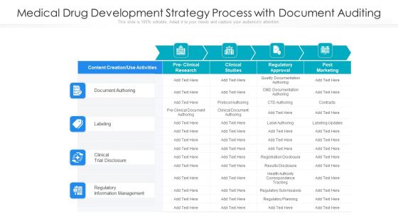 Medical Drug Development Strategy Process With Document Auditing Ppt PowerPoint Presentation Gallery Show PDF