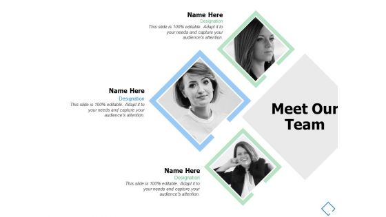 Meet Our Team Communcation Ppt PowerPoint Presentation Show Example File