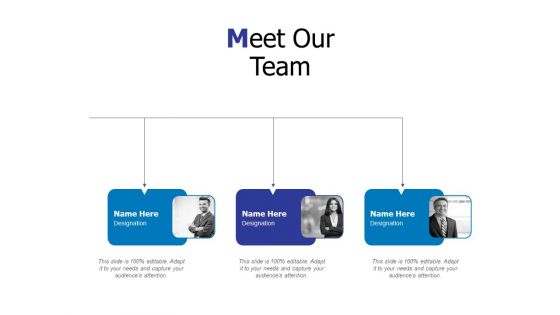 Meet Our Team Ppt PowerPoint Presentation Infographic Template Background Image