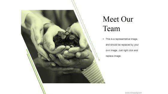 Meet Our Team Ppt PowerPoint Presentation Pictures Vector