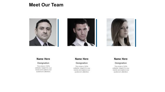 Meet Our Team Ppt PowerPoint Presentation Summary Graphics Example