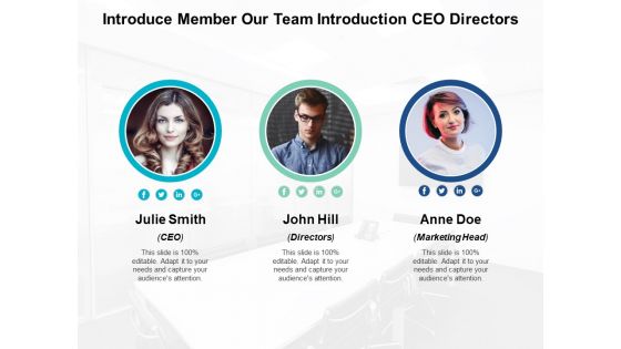 Meet The Team Introducing Ceo Directors Marketing Head Ppt Powerpoint Presentation Show Graphics Design