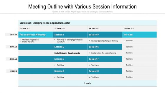 Meeting Outline With Various Session Information Ppt PowerPoint Presentation Outline Vector PDF