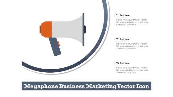 Megaphone Business Marketing Vector Icon Ppt PowerPoint Presentation Infographics Styles PDF