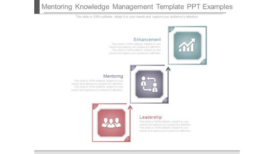 Mentoring Knowledge Management Template Ppt Examples
