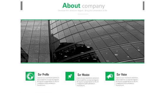 Mission Vision And Profile Of Company Powerpoint Slides