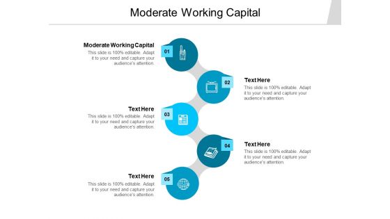 Moderate Working Capital Ppt PowerPoint Presentation Professional Examples Cpb