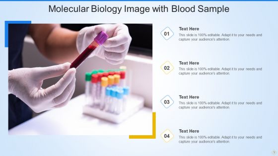 Molecular Biology Ppt PowerPoint Presentation Complete With Slides