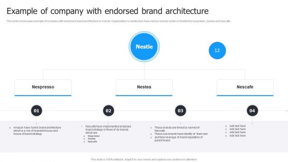 Multi Brand Launch Strateic Plan Example Of Company With Endorsed Brand Architecture Information PDF
