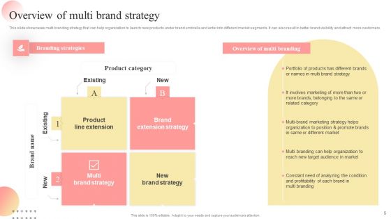 Multi Branding Approaches For Different Market Divisions Ppt PowerPoint Presentation Complete Deck With Slides