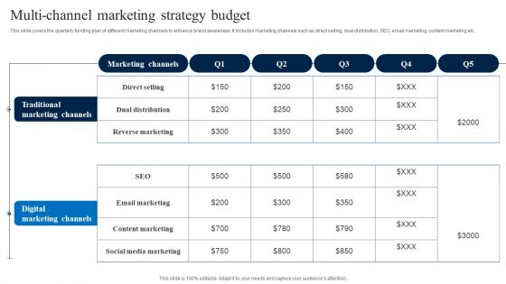 Multi Channel Marketing Strategy Budget Professional PDF Multi Channel Marketing Strategy Budget Professional PDF