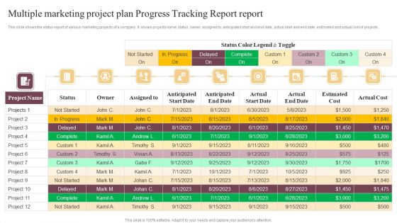 Multiple Marketing Project Plan Progress Tracking Report Report Icons PDF