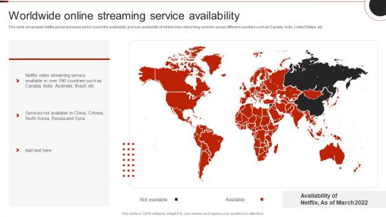 Netflix Company Outline Worldwide Online Streaming Service Availability Infographics PDF