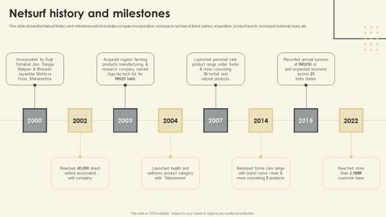 Netsurf Business Profile Netsurf History And Milestones Ppt Infographics Design Inspiration PDF